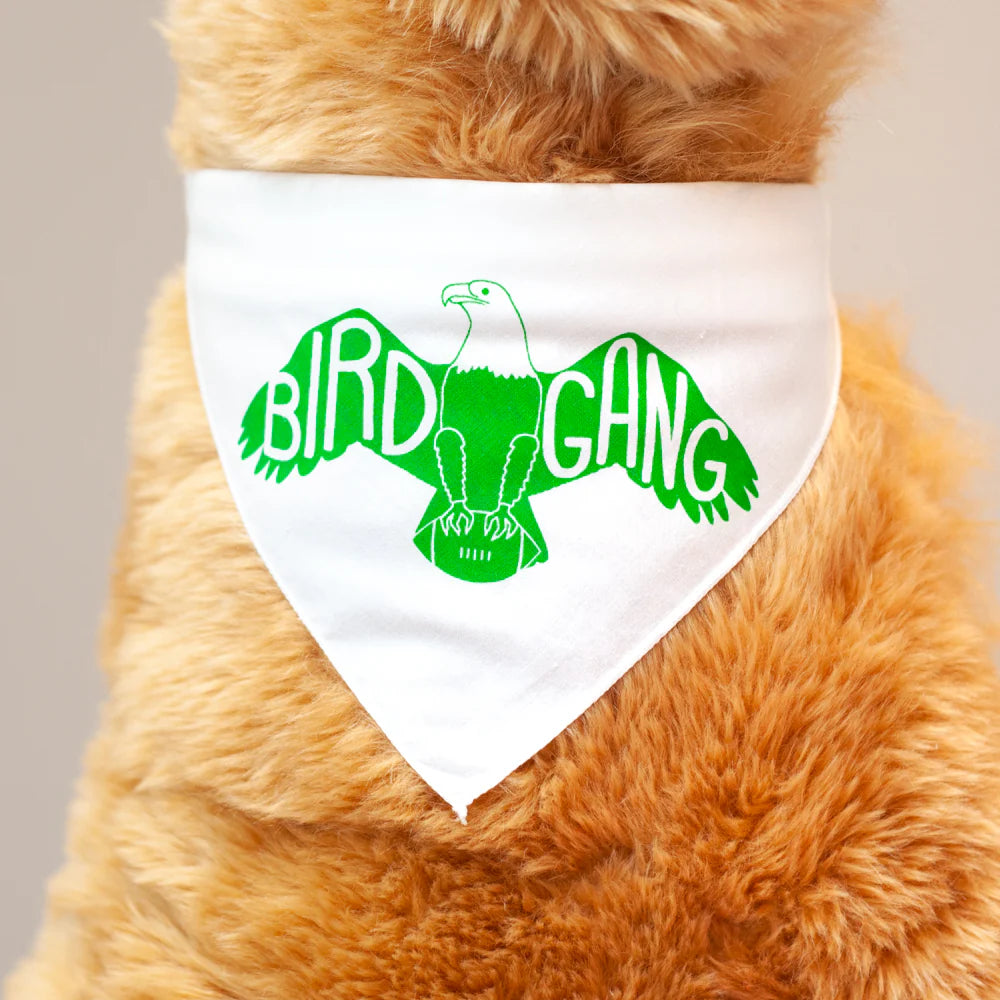 Brown teddy bear wearing a white bandana with green 'Bird Gang' design on a beige background