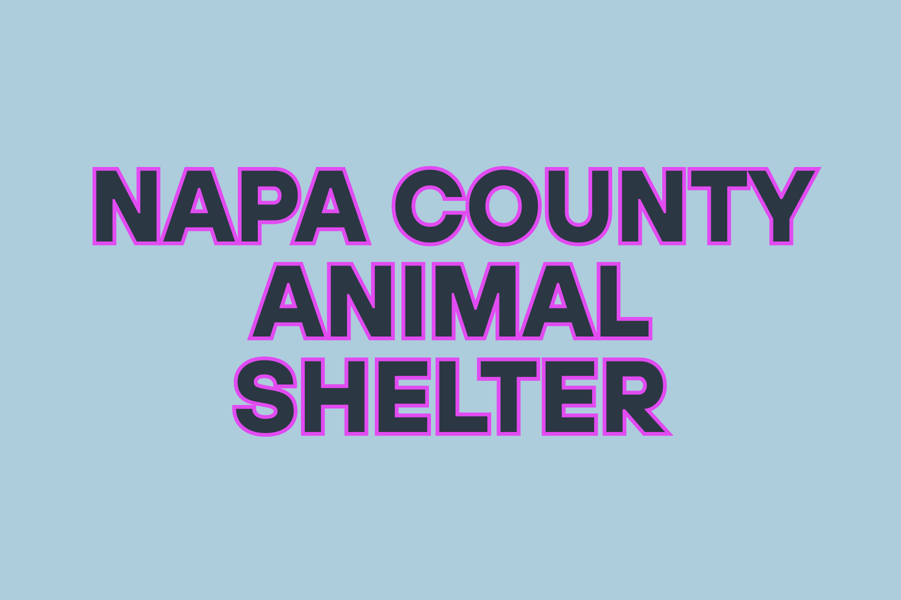 Napa County Animal Shelter